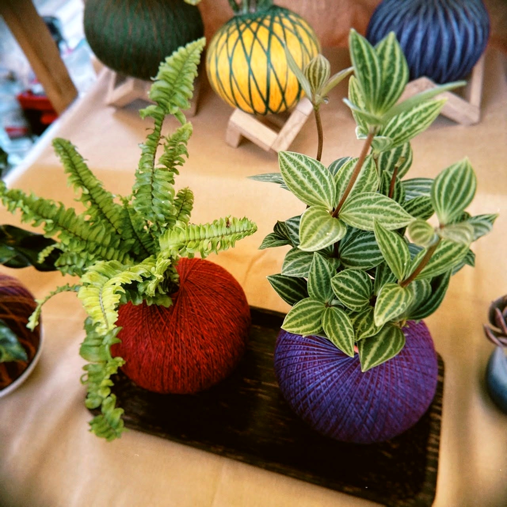 園藝七植驗室-苔丸室內植物展售/本丸苔球&多肉組盆代工 作品